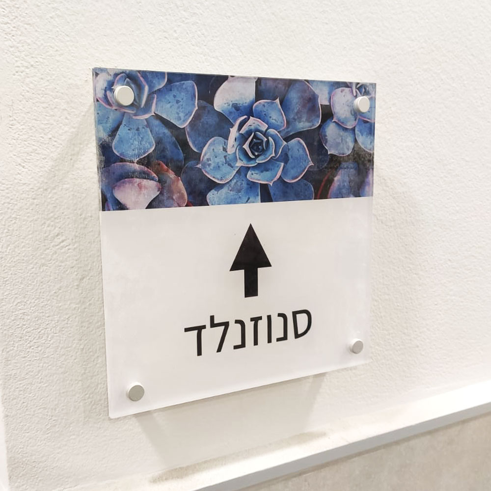 פרספקס